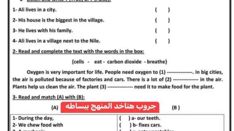 حل النماذج الاسترشادية من الوزارة انجليزي (كونكت) للصف الرابع الابتدائي