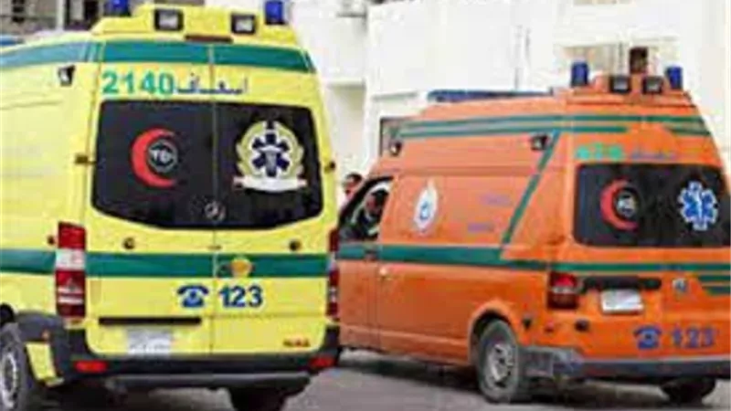 إصابة 6 أشخاص فى انقلاب ميكروباص بالشرقية