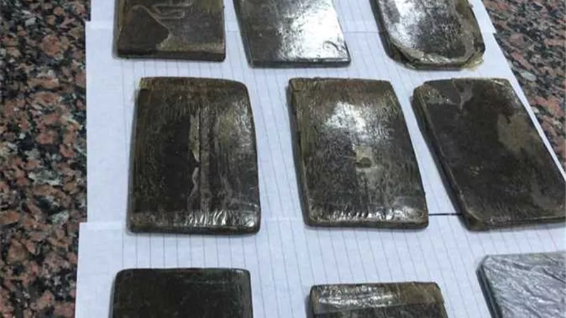 ضبط 150 طربة حشيش في حملة أمنية بالإسكندرية