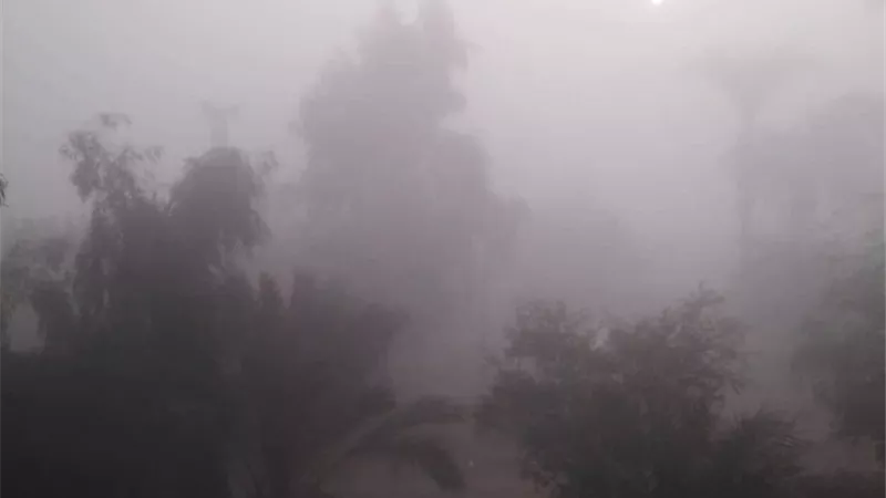 الارصاد :شبورة مائية كثيفة على الصعيد