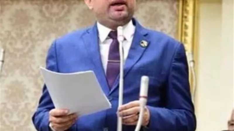 النائب أحمد أبوزيد