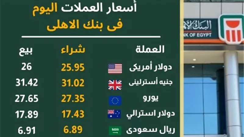 سعر الدولار يسجل مستوى تاريخى أمام الجنيه المصرى ويصل لـ26 جنيها
