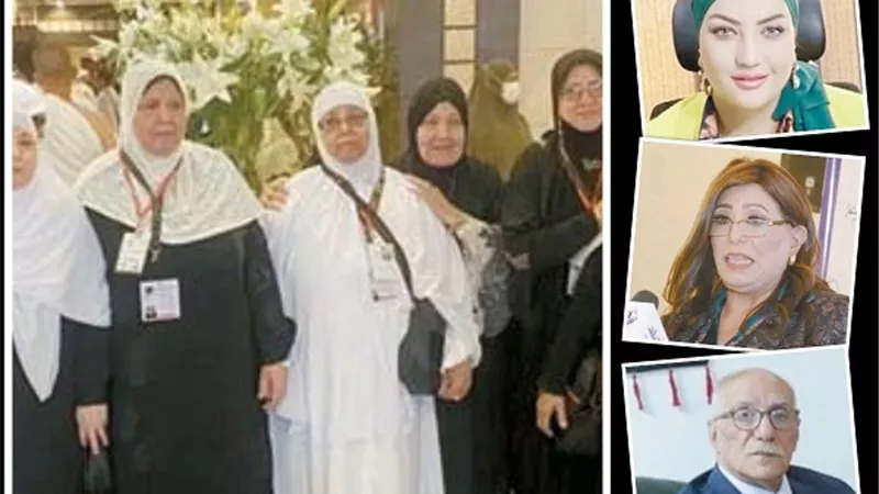 فوضي تنظيم 