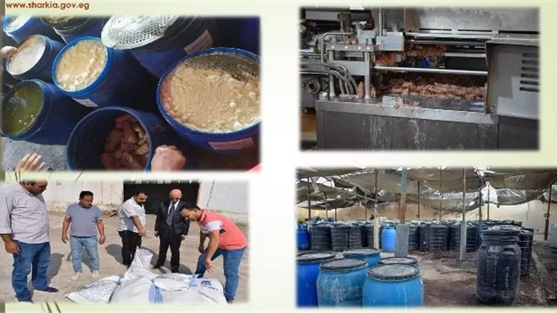 ضبط وإعدام 900 طن أغذية وغلق 2150 منشأة مخالفة بالشرقية