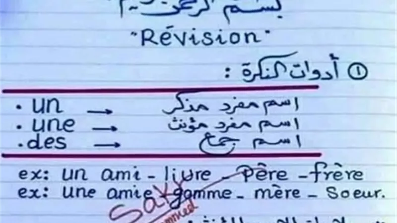 المختصر المفيد..مراجعة الفرنساوي للصف الأول الثانوي الترم الأول