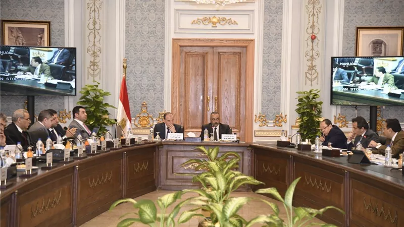 لجنة صياغة قانون الإجراءات الجنائية تستكمل اجتماعاتها