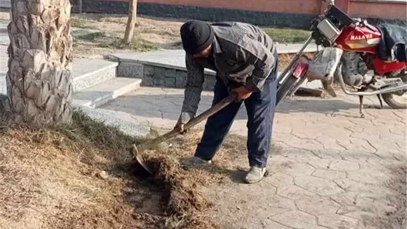 تهذيب الأشجارالمتداخلةمع أسلاك الكهرباء ورفع القمامة بالزقازيق