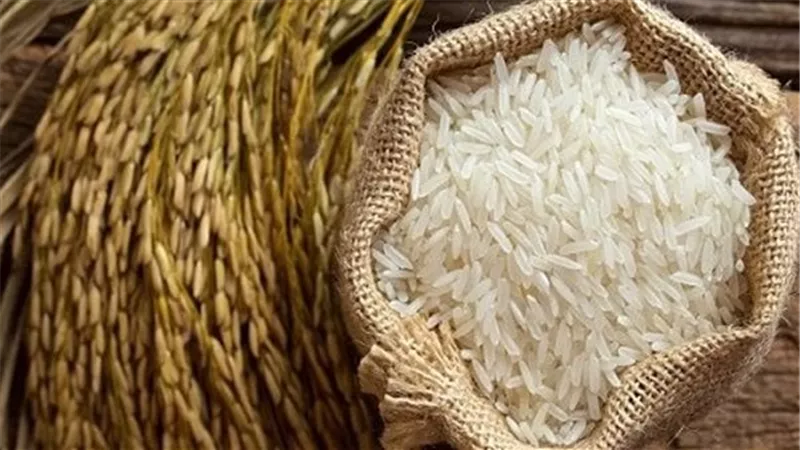 التموين: استلام أكثر من 400 ألف طن أرز شعير من الفلاحين حتى الآن