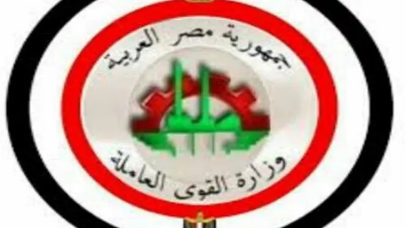 القوى العاملة بالقليوبية توفر 235 فرص عمل للشباب