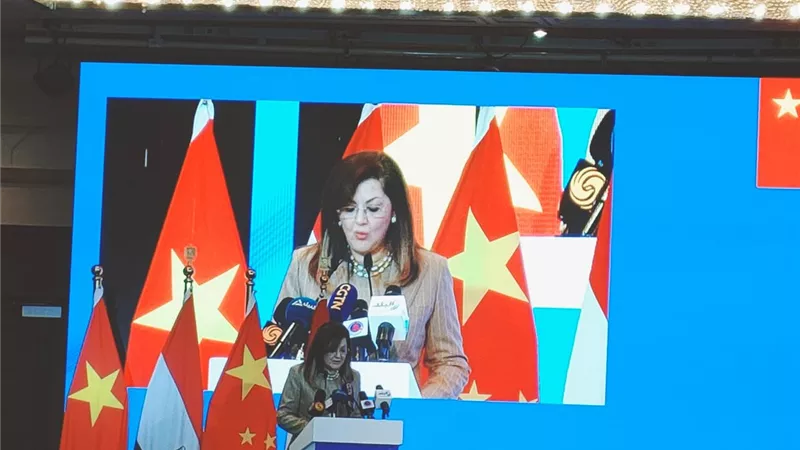 هالة السعيد: منتدى الاقتصاد المصري الصيني يأتي بمرحلة شديدة الدقة