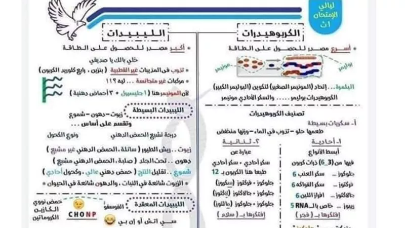 خلاصه الاحياء للصف الاول الثانوي لن يخرج عنها الامتحان