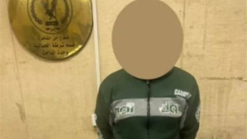 ضبط شخص سرق حجر ألماس من شركة 