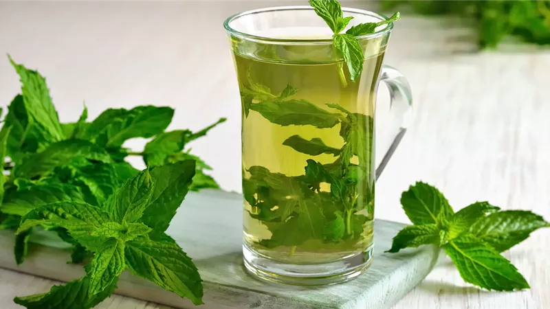 فوائد النعناع المدهشة للصحة