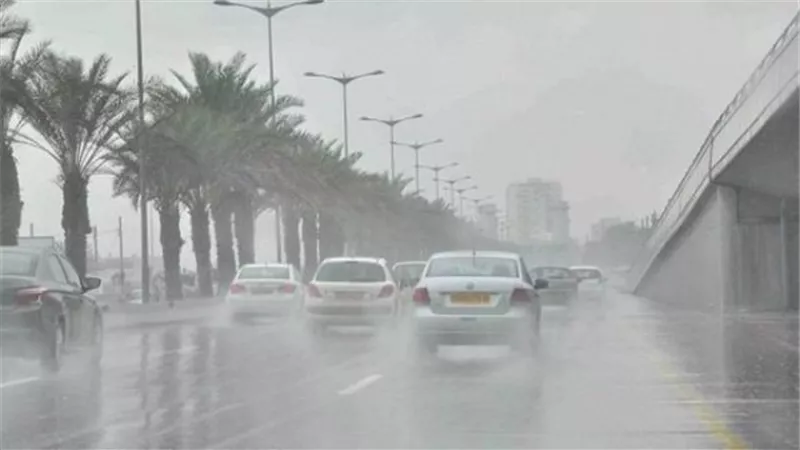 «شبورة مائية وأمطار».. الأرصاد الجوية تكشف تفاصيل طقس اليوم