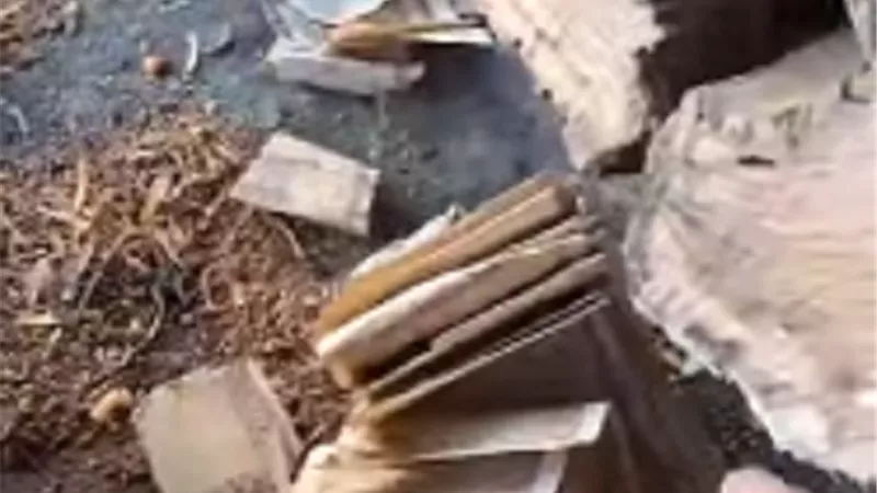 مخفية منذ عقود .. شاب يعثر على كنز من العملات القديمة | فيديو