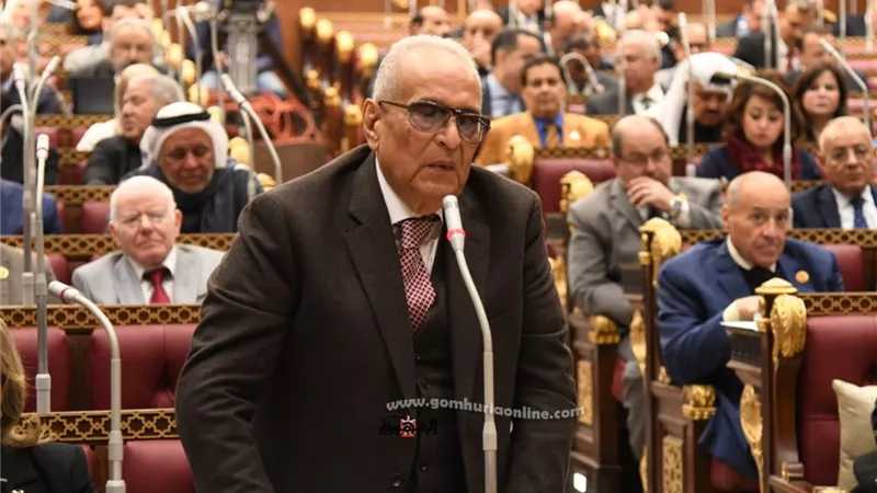 وكيل مجلس الشيوخ: إصدار تشريعات لدمج الاقتصاد غير الرسمى ضرورة