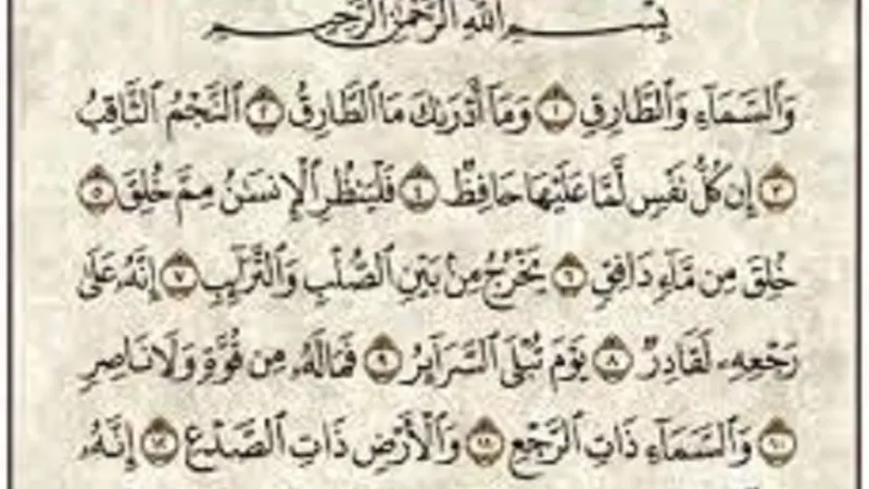 يَخْرُجُ مِن بَيْنِ _الصُّلْبِ وَالتَّرَائِبِ_ما المقصود