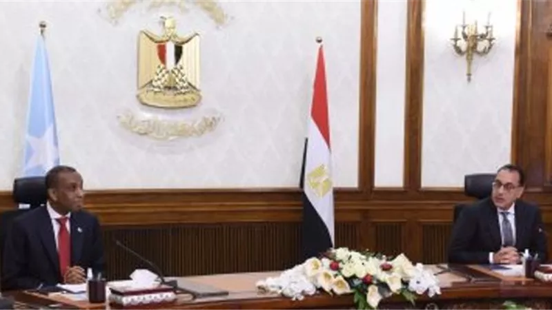 مدبولى: مصر تتابع عن كثب التطورات السياسية والتنموية في الصومال