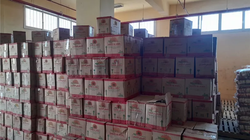 رئيس مركز الطود جنوب الأقصر يتفقد مصنع البوتوجاز والسلع التموينية