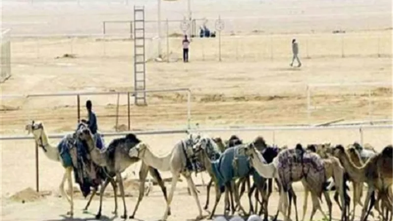 إقامة المهرجان المصرى الإماراتى 