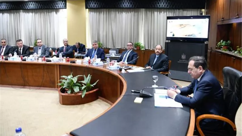الملا يرأس ورشة عمل للتنسيق بين قطاعى التعدين والصناعة