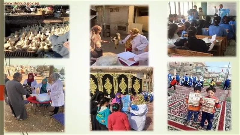 بيطري الشرقية يُحصن 6 آلاف رأس ماشية للوقاية من الأمراض