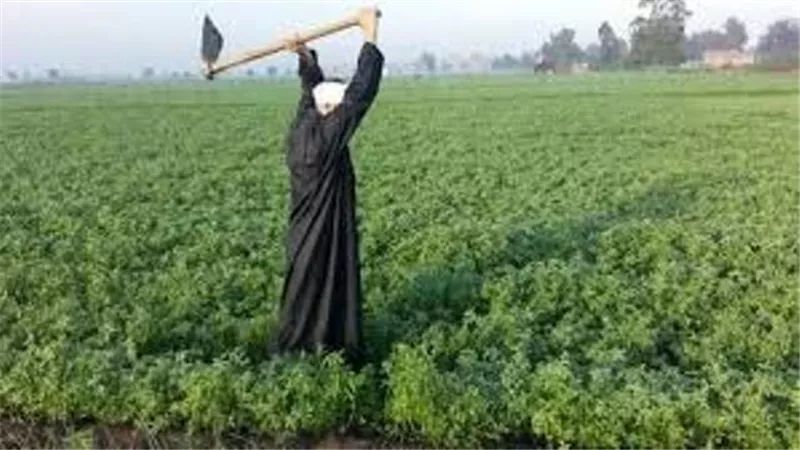 خليفة : اهتمام الرئيس السيسي بمبادرة 