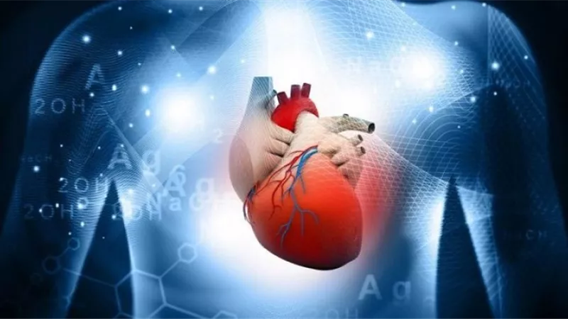 دراسة: مكمّل غذائي متاح يخفف الأعراض المؤلمة لمرض الشريان التاجي