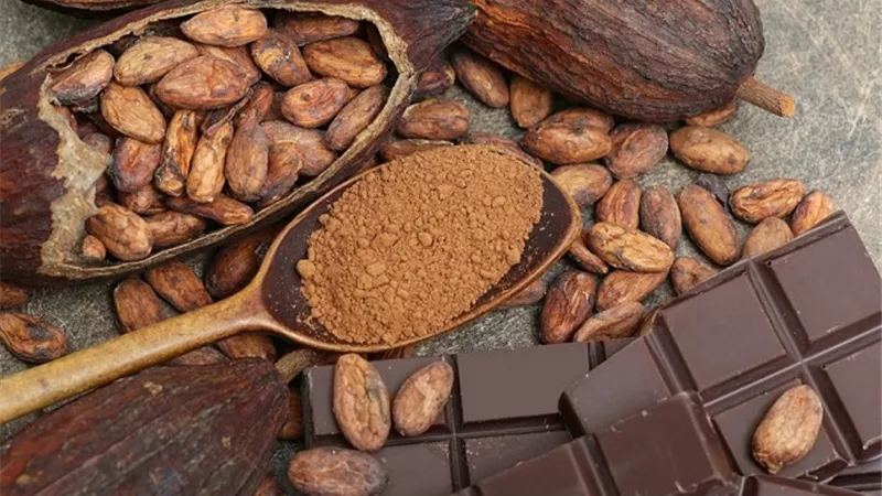 أبرز فوائد الكاكاو.. تعزيز صحة القلب والمناعة