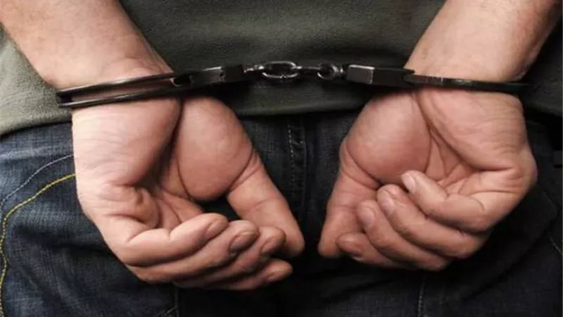 ضبط مخدرات وسلاح بحوزة 4 أشخاص بالدقهلية