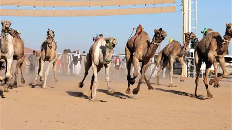 شرم الشيخ.. تنتظر الحدث الكبير