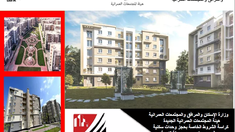 كراسة شروط سكسن مصر