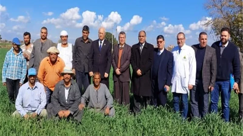 رئيس جامعة بنها يتفقد مزارع القمح والوحدات الإنتاجية بزراعة مشتهر