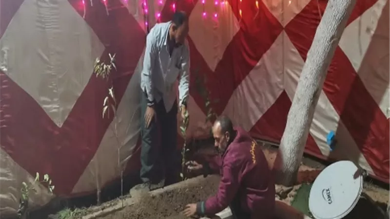 100 مليون شجرة.. مبادرة بمراكز شباب قليوب