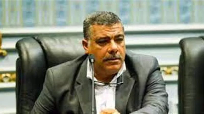نواب البرلمان يستجيبون لمبادرة التبرع لصندوق تحيا مصر