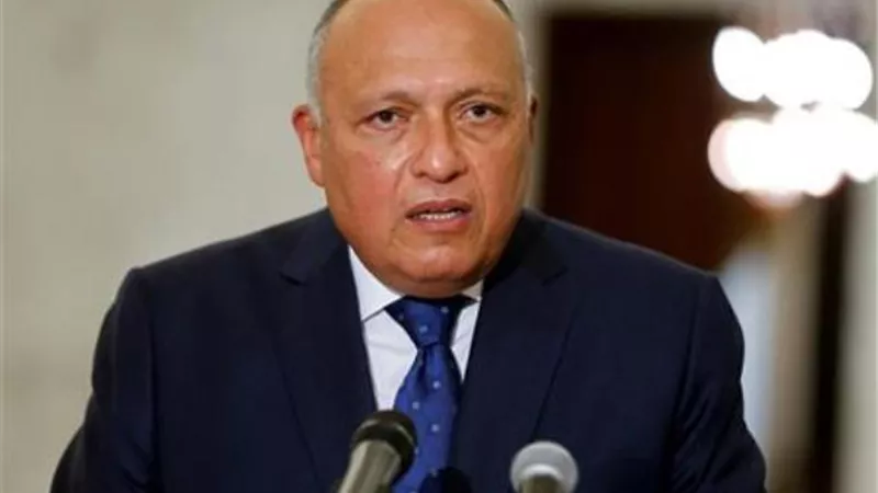 شكري يؤكد على دور المؤسسات الدولية في حشد التمويل لعمل المناخ