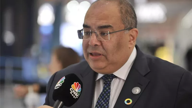 د. محيي الدين:ربط برامج تمويل العمل المناخي بالاحتياجات الأساسية