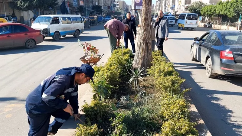 حملات لزراعة الأشجار ضمن مبادرة 100 مليون شجرة وإنشاء محور جديد