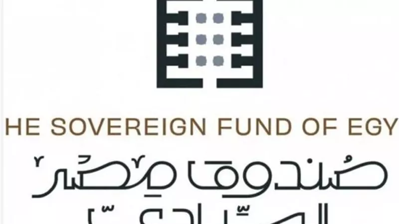 الصندوق السيادي واتصالات مصر يطلقان شركة لتمويل المشروعات الصغيرة