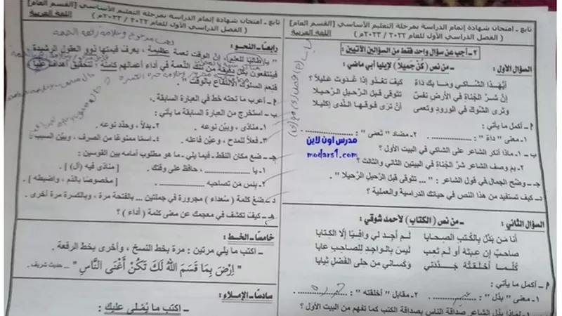 ننشر امتحان اللغة العربية للشهادة الاعدادية 2023 جنوب سيناء