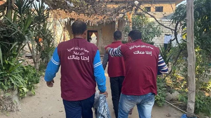 ارشفية