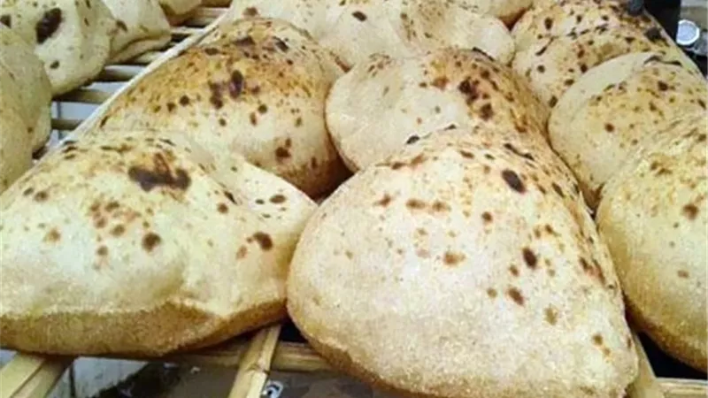 موعد وأماكن طرح كارت الخبز المدعم لشراء العيش خارج التموين..فيديو