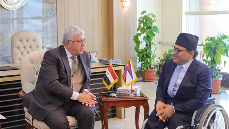 ايمن عاشور: منح دراسية بين الجامعات المصرية والنيبيالية