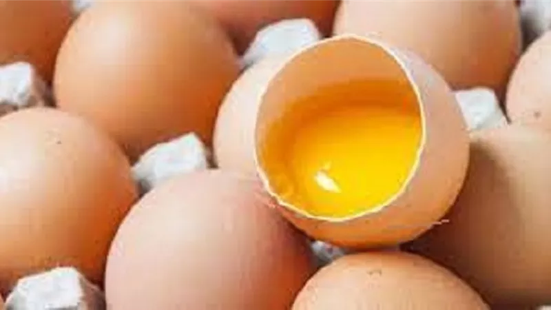 احذر تناول البيض النيئ .. قد يصيبك بالسرطان