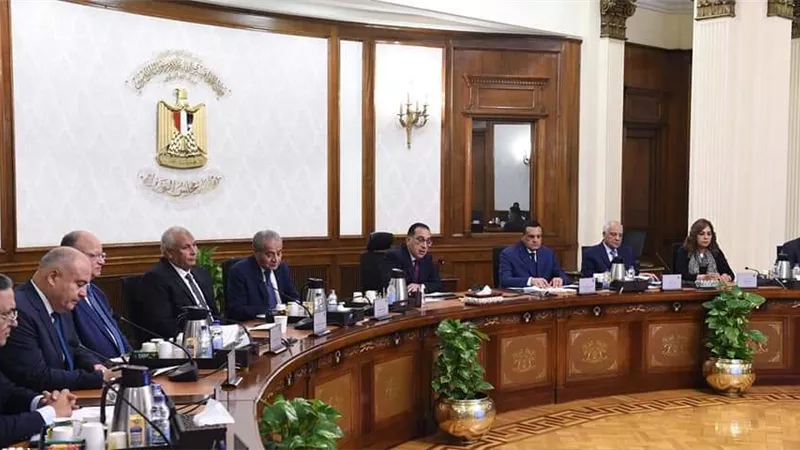 مجلس الوزراء: الاقتصاد والتموين والتعليم الأكثر تأثرا بالشائعات