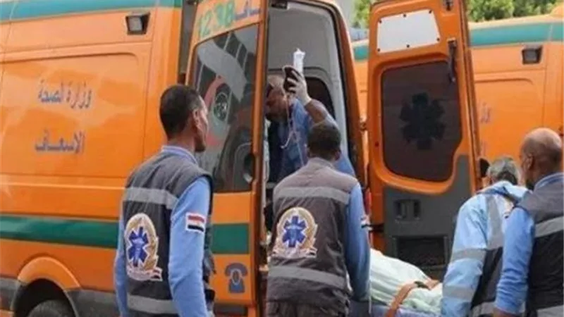 مصرع 2 في تصادم سيارة ميكروباص وتوك توك بأسيوط