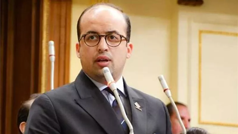 نائب التنسيقية: التعامل بالجنيه المصري خطوة مهمة