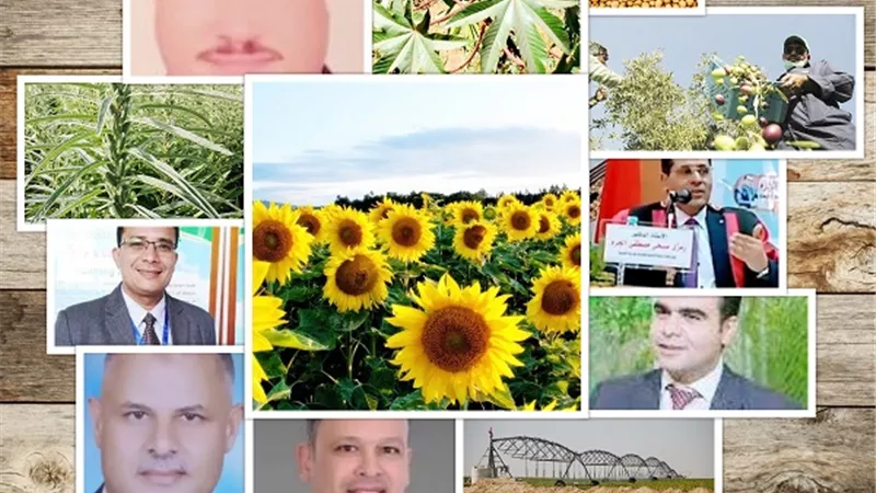حلول جذرية لأزمة نقص الزيوت.. التوسع في الزراعة أهم الخطوات