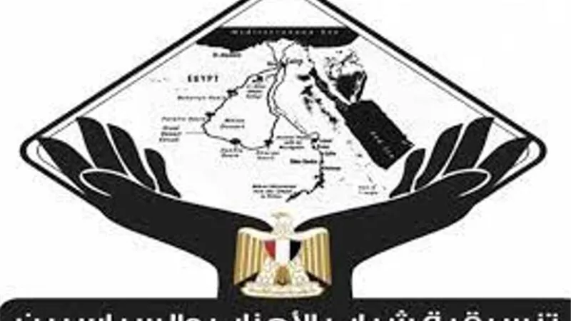 التنسيقية تعقد ورشة عمل حول الدراما المصرية وصناعة المحتوى