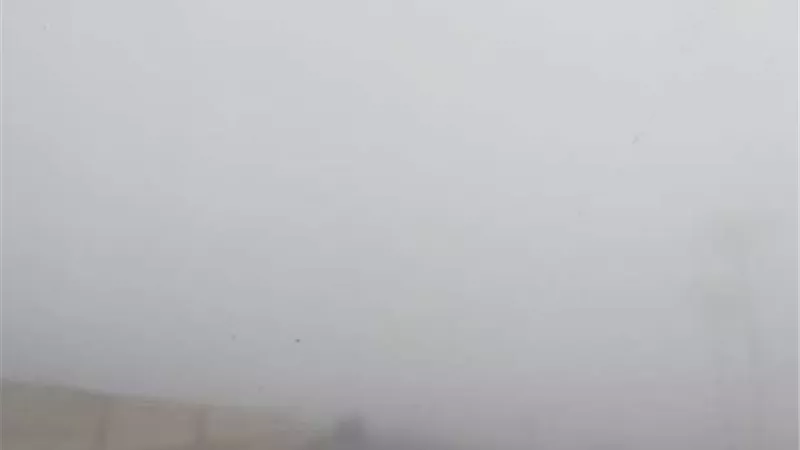 الارصاد تحذر انخفاض كبير في الرؤية بسبب الشبورة الكثيفة .. ٥ نصائح للقيادة الآمنة